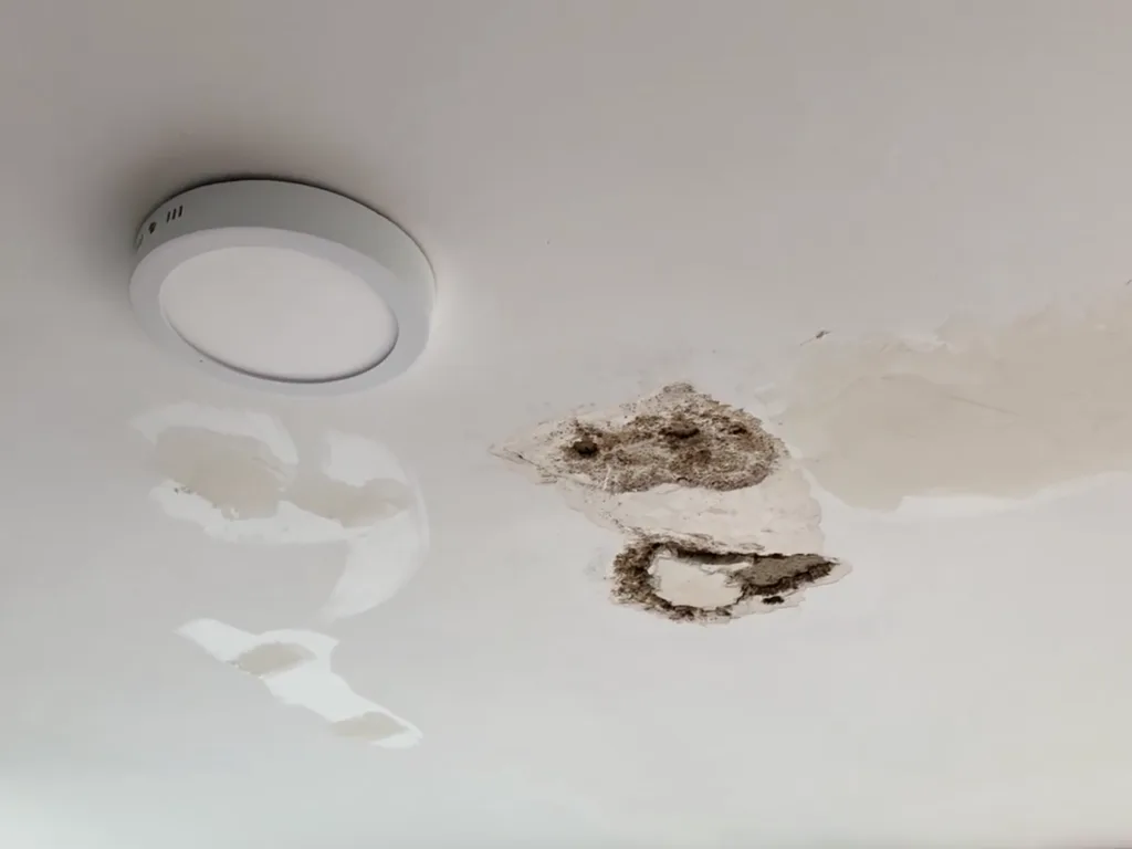 Gotera en el techo del vecino de la planta de abajo causada por avería de baño